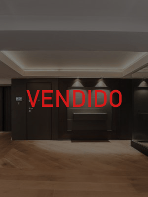 colon203_retocada-300x400