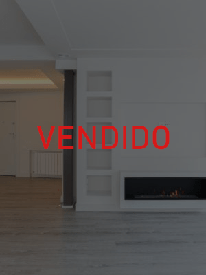 pinazos-203_retocada-300x400v